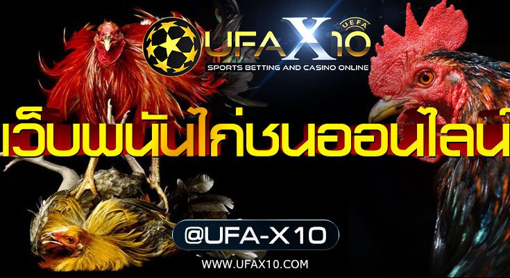 เว็บพนันไก่ชนออนไลน์